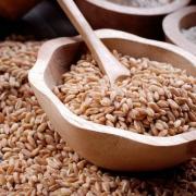 Yazılı tarifler.  Karabuğday, kılçıksız buğday ve darı.  Geleneksel Rus tahılları nasıl doğru şekilde pişirilir?