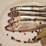 Tuzlu ringa balığı: yararları, zararları ve tarifleri