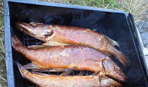 Как вкусно закоптить рыбу горячего копчения.