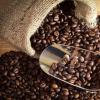 Mliečna kávová želé.  Recept s fotografiou.  Povzbudzujúce želé z kávových zŕn Kávové želé: trojvrstvové