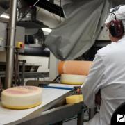 Νορβηγικό τυρί Jarlsberg Συνταγή για τυρί Jarlsberg στο σπίτι