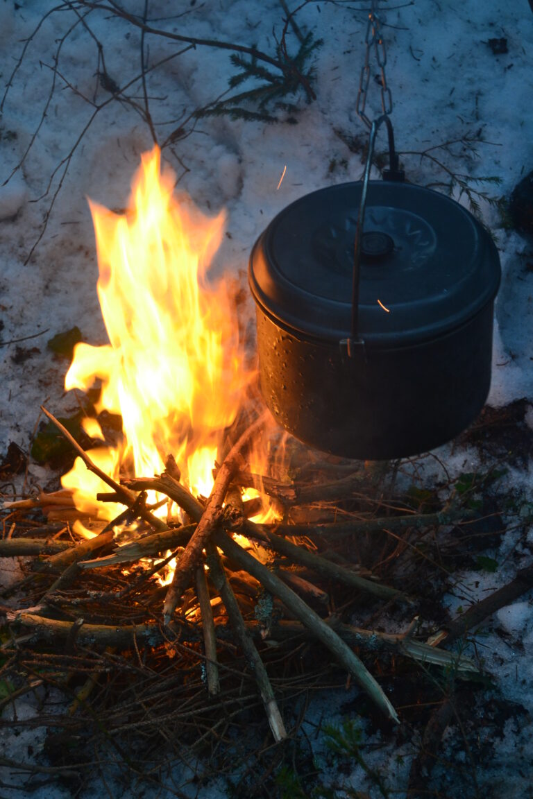 Вкусняшки на костре в походе.