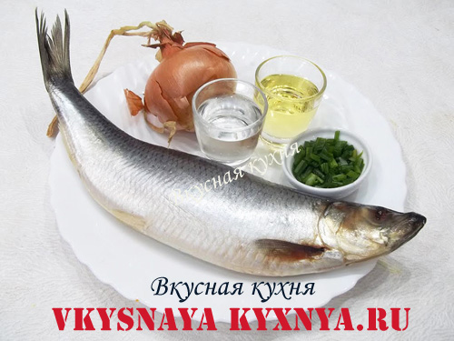 Селедка в масле с луком рецепт.